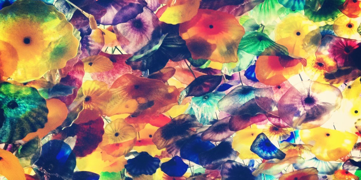 RuthMassri's profile banner image