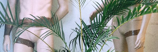 intrydr Profile Banner
