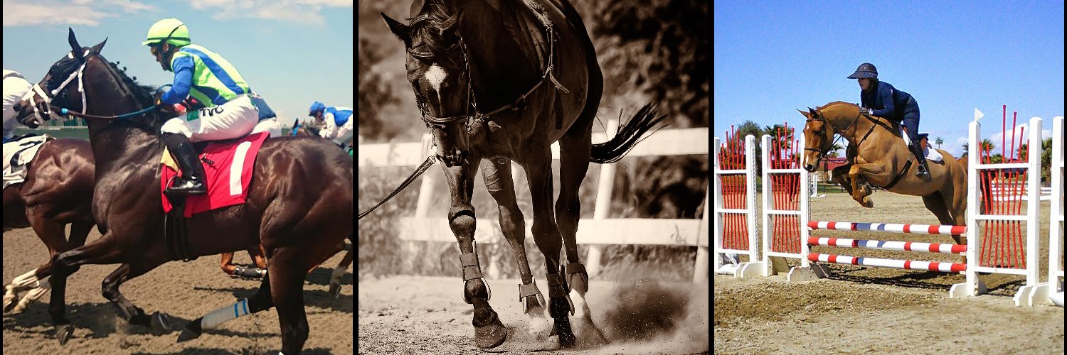 Win Place Home, Inc. banner