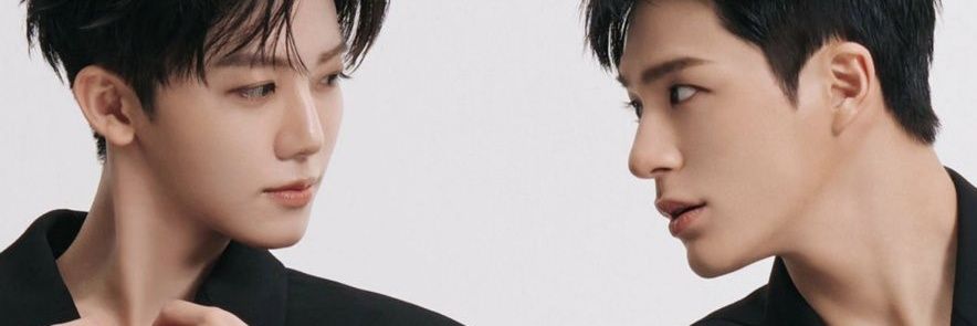 Apiy 🐦‍⬛ banner