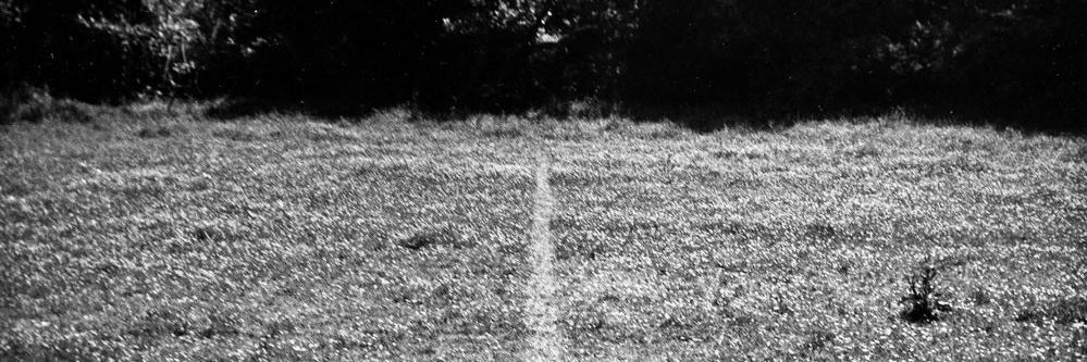 Quoctrung Bui banner