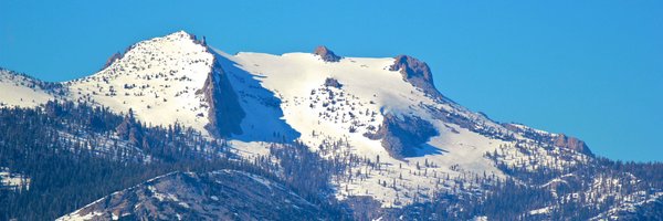 nathanielng Profile Banner