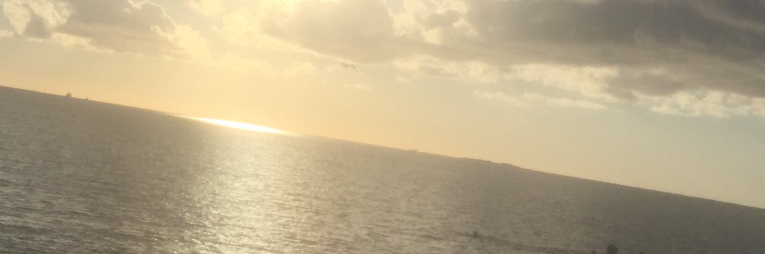 elviracet's profile banner image