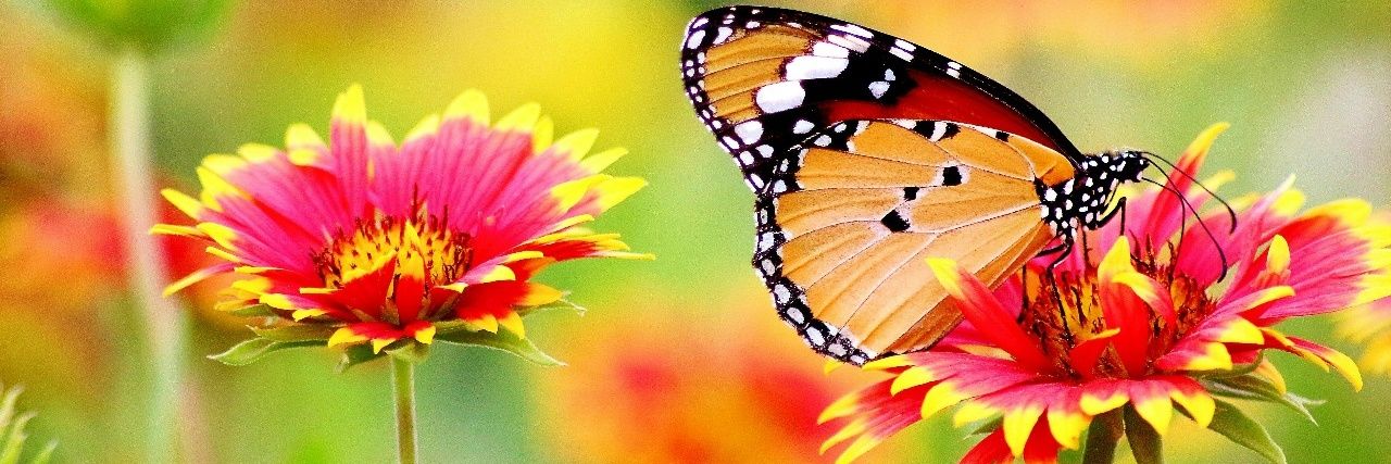 MilonIslam145 banner