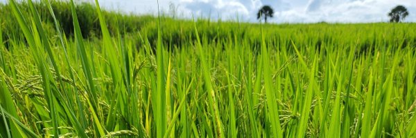 _m0se_ Profile Banner