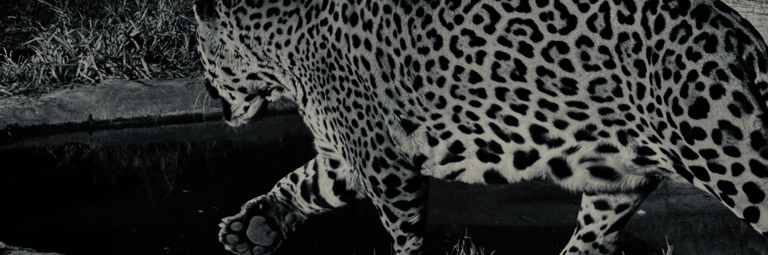 agusssschidini's profile banner image