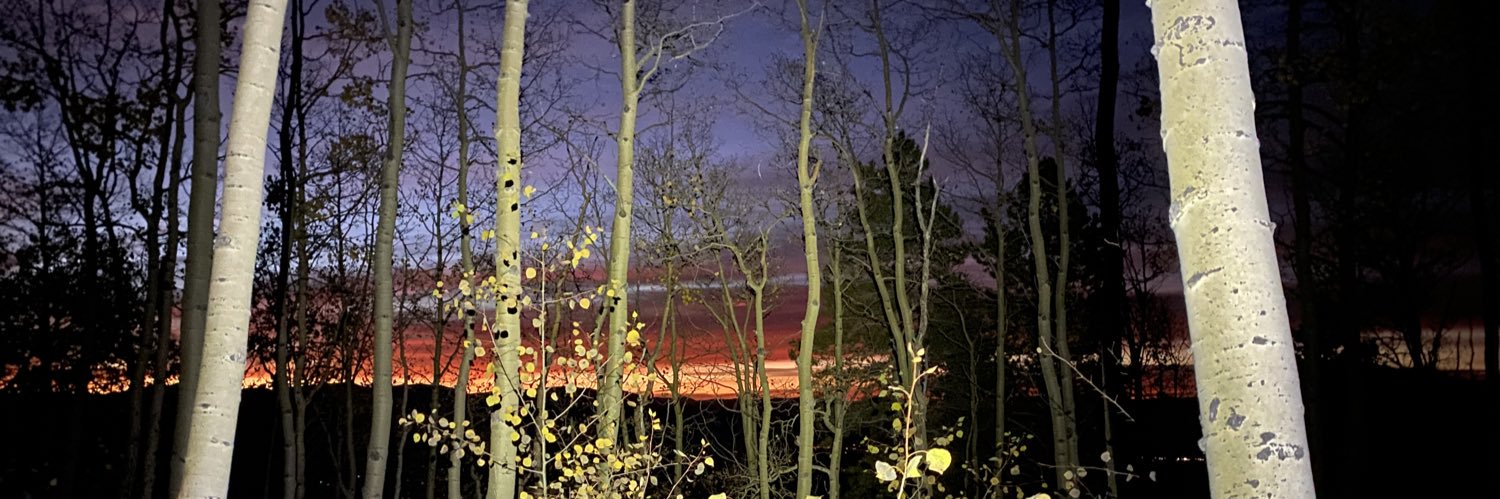 mainstreamjane's profile banner image