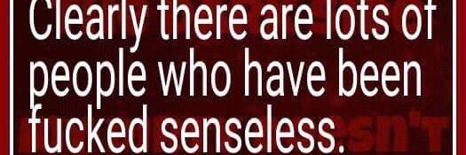 J V W Wingnut banner