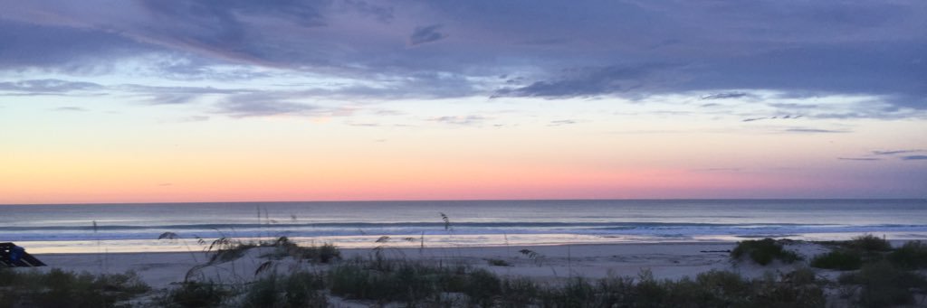 🔫 Entropy’s Beard ⚓️ banner