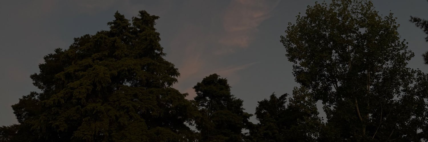 vickytoria211's profile banner image