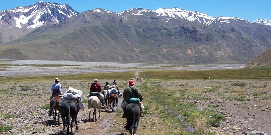 Diego Ardao Anselmi banner