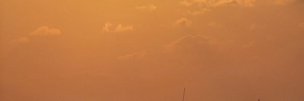 Joonie ☘️ Profile Banner