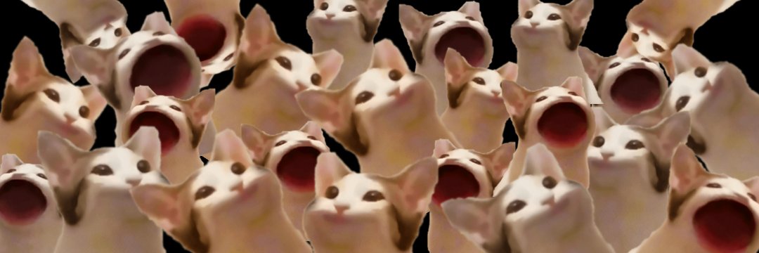 popcat0x's profile banner image
