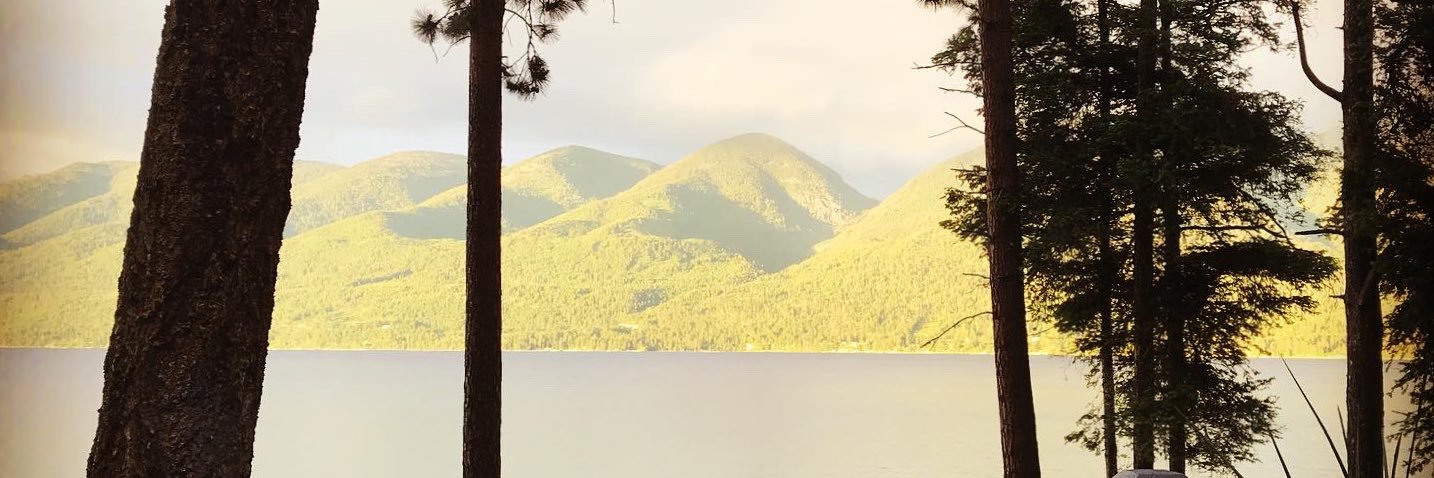 DBS406's profile banner image