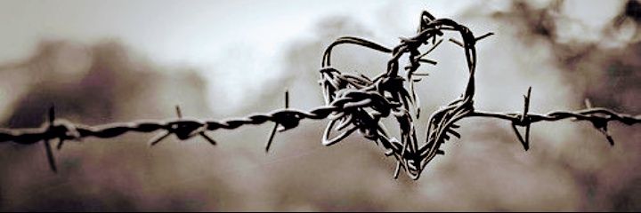 noir_auth's profile banner image