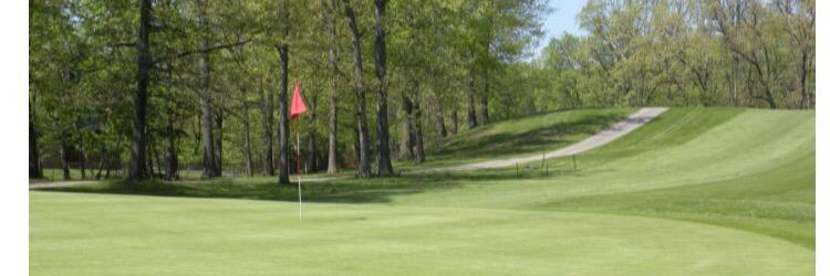 REV_Golf's profile banner image