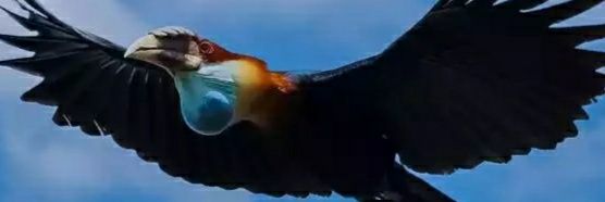 MMaheput's profile banner image