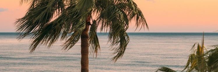 nickcaar's profile banner image