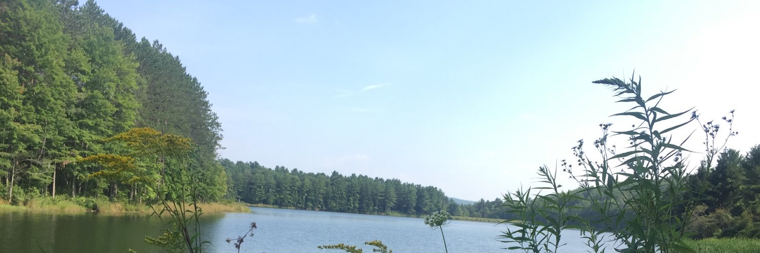 kreebledar's profile banner image