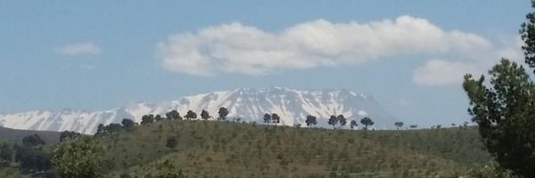 ThomIPhillips Profile Banner