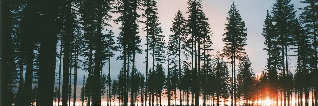 wefoundlight's profile banner image