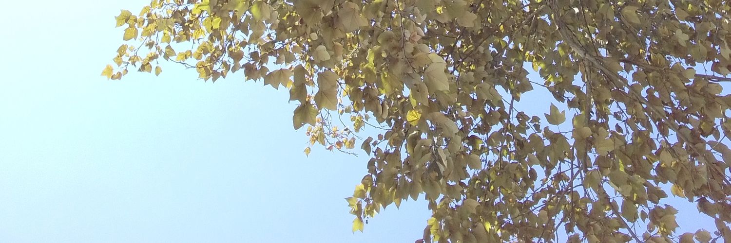 deli2508's profile banner image