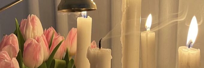 Tulippy ꪔ̤̮ banner