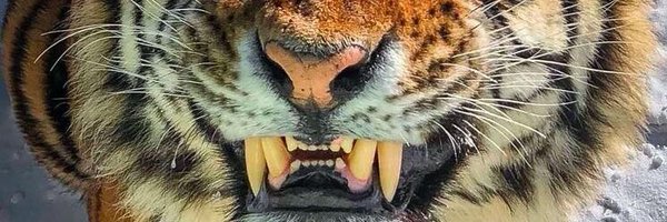 RedKettleImages Profile Banner