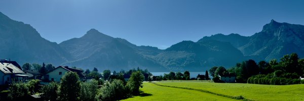 drJoseArheumat Profile Banner