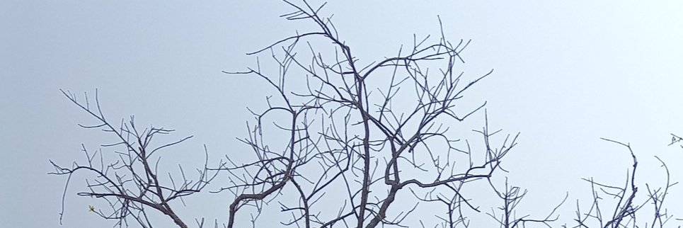 here_nitu's profile banner image