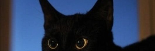 PostRichETH's profile banner image