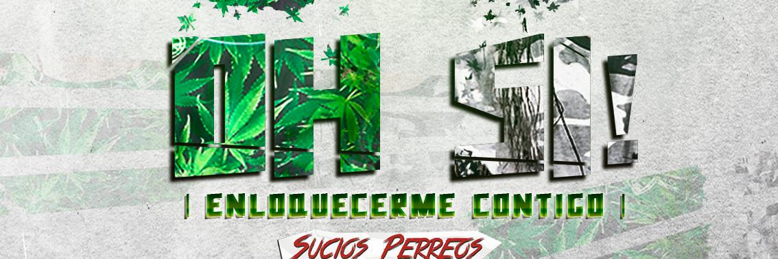 El Bloke 18 ® (@ElBloke18) / Posts / X