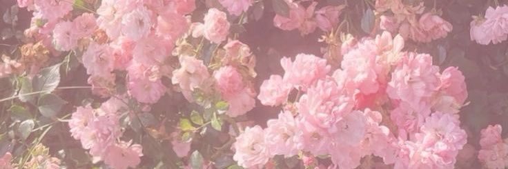 fae banner
