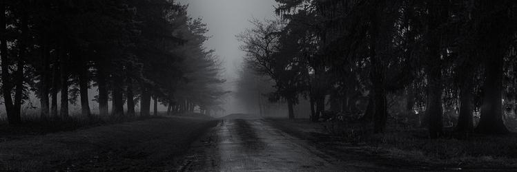DRfluffyface's profile banner image