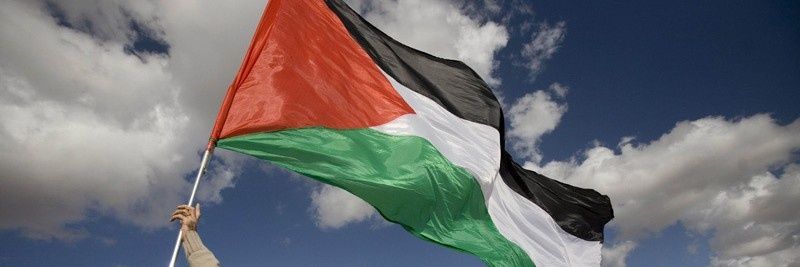 Diego Delsorraund 🌳🏳️‍🌈🇵🇸🍉 banner