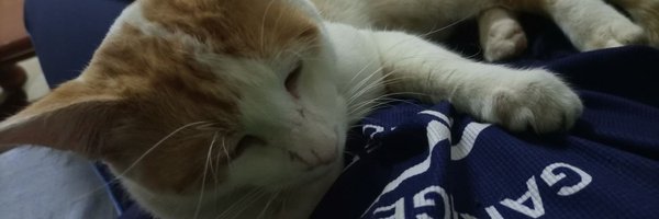 Virgote_x Profile Banner