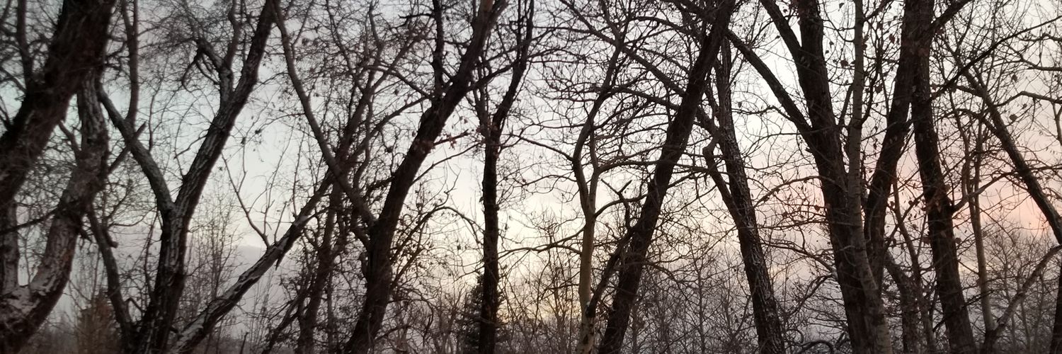 takeofthetiek's profile banner image