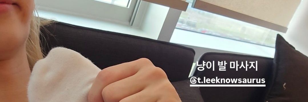 🥠 banner