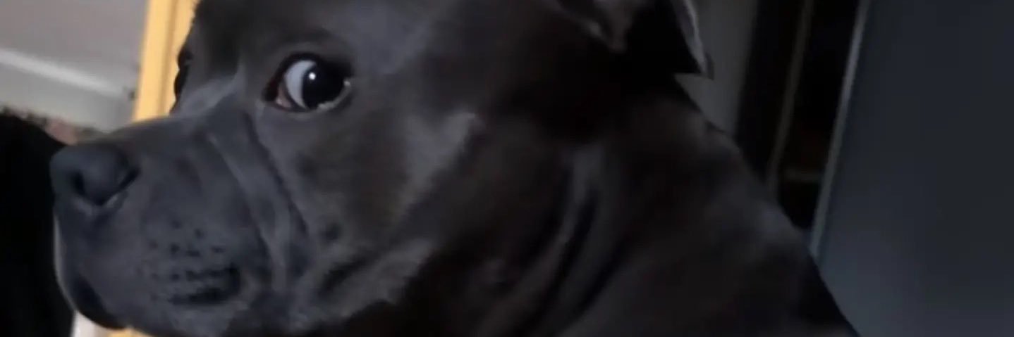 Podiaxe's profile banner image