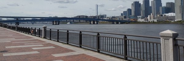 Canary_mfb Profile Banner