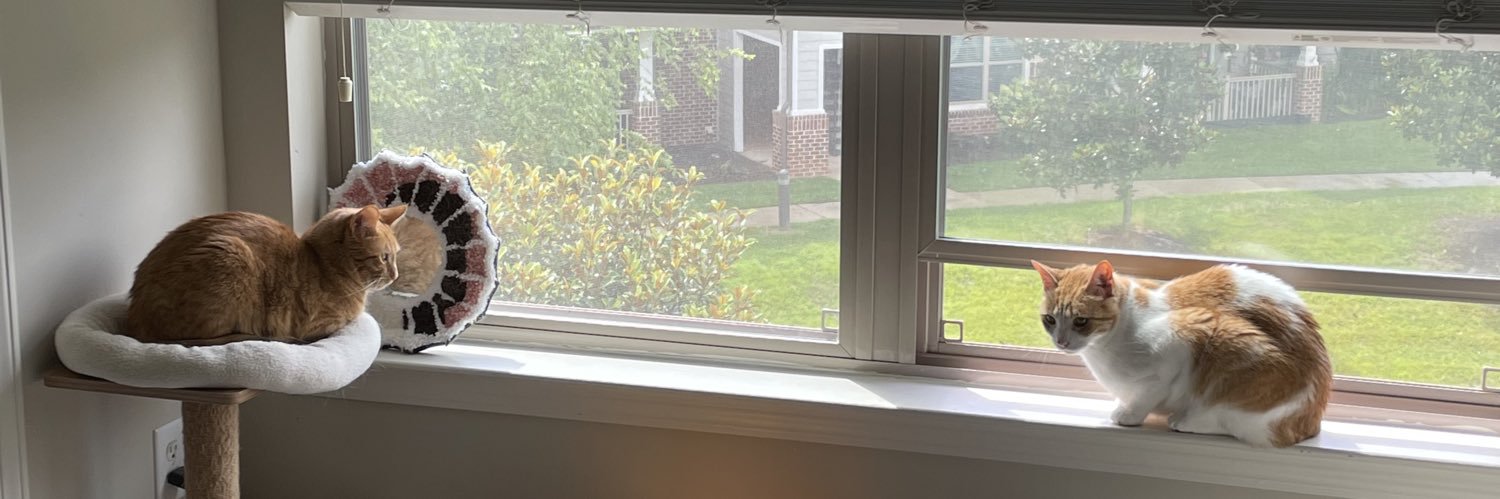 coolbrettd's profile banner image