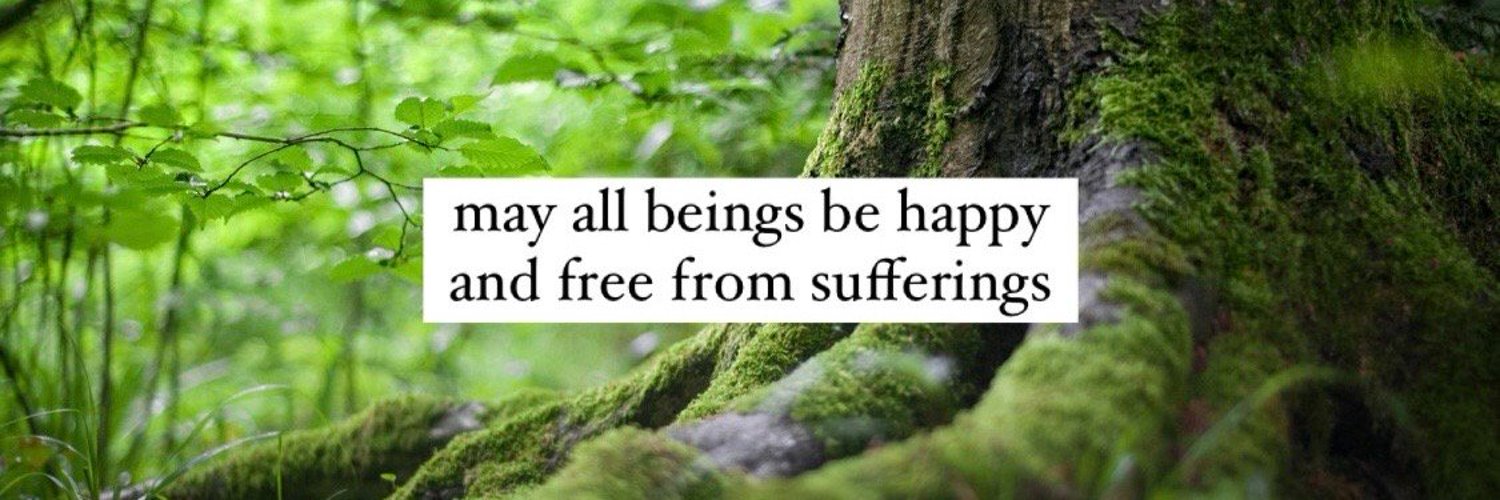 Healing Girlies 🦄 banner