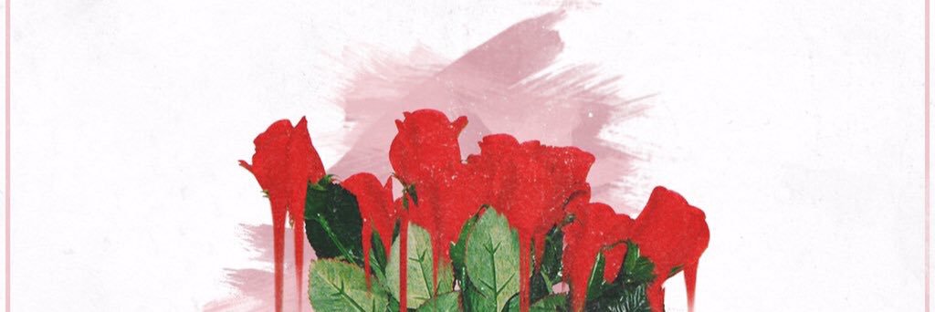 wayne5577's profile banner image