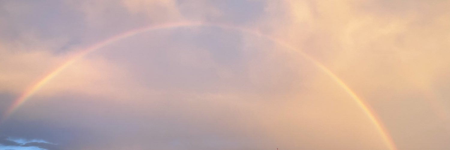 金香 banner