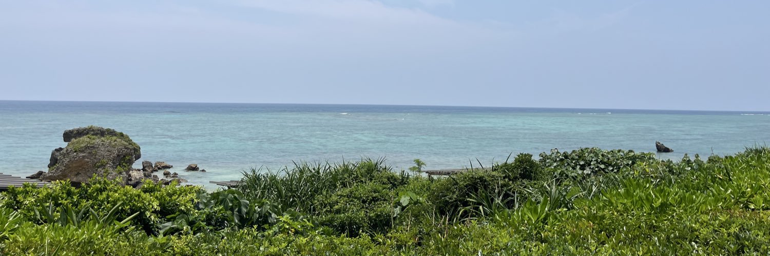 🐹✨ハム🌻✨ banner