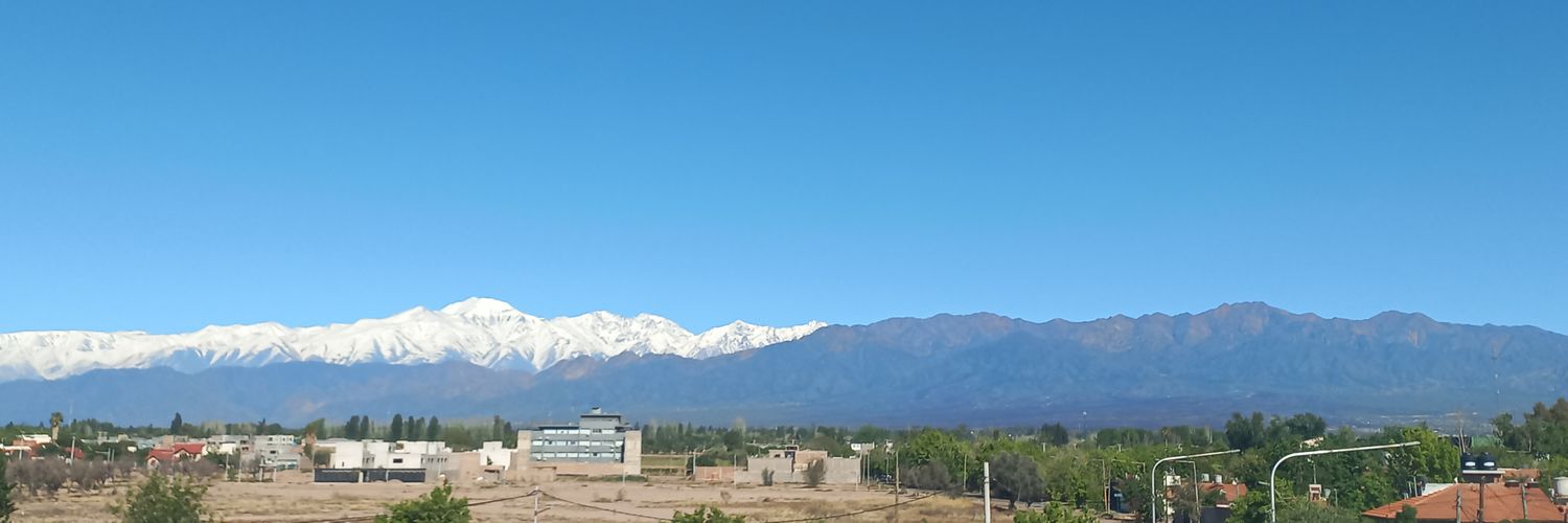 NATALIA D'AMICO banner