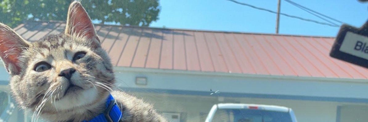 Romans 12:2 🧎🏽‍➡️ banner