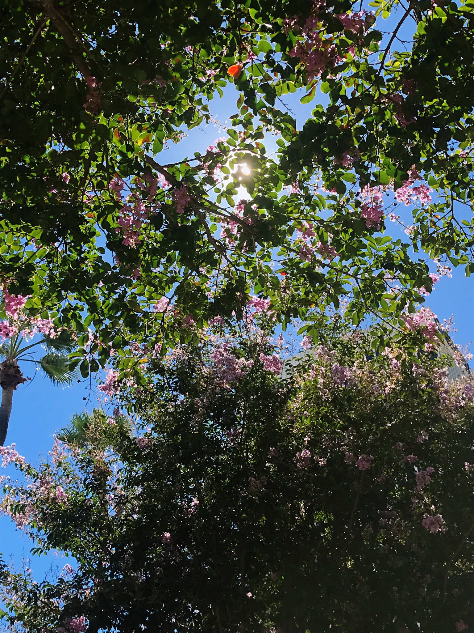 Avril｜LAYO(ꪜ)ER+𝐅𝐑𝐈(𝐄𝐍𝐃)𝐒Ⓥ banner