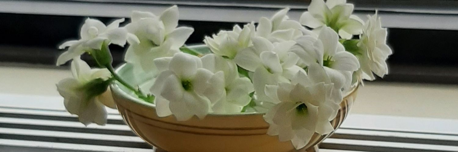 Kates_seester's profile banner image