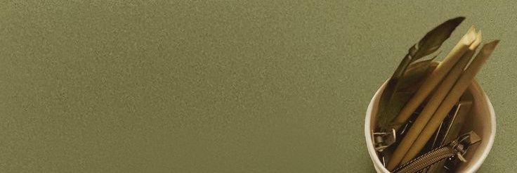 Kaitlyn Svajone. banner